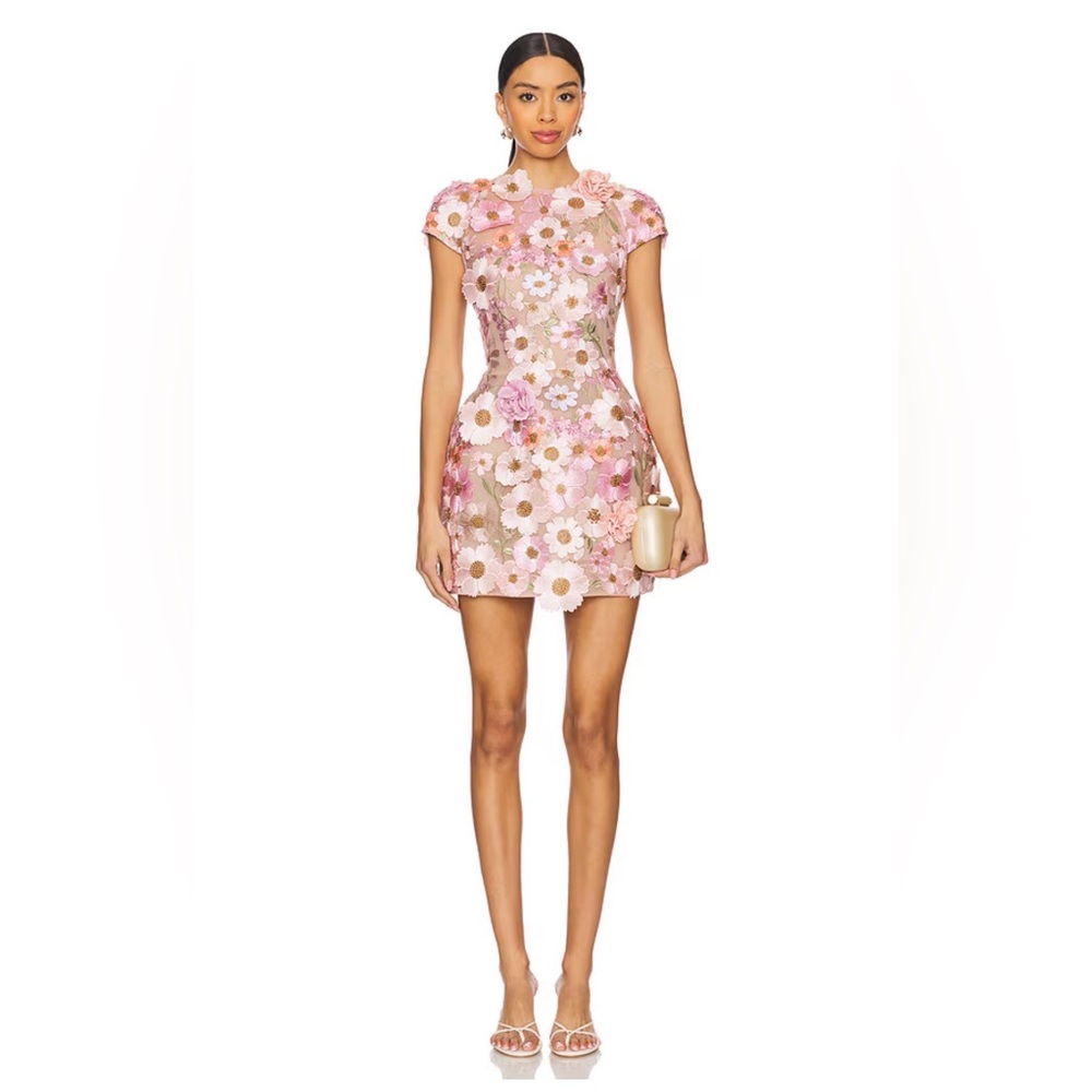 New Bronx and Banco Jasmine Embroidered Floral Applique Mini Dress - Picture 1 of 15